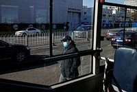 В России распространяется штамм коронавируса &laquo;стратус&raquo;. Вызовет ли он новую пандемию?