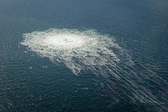 Украинскую рекордсменку по погружениям уличили в подрыве &laquo;Северных потоков&raquo;
