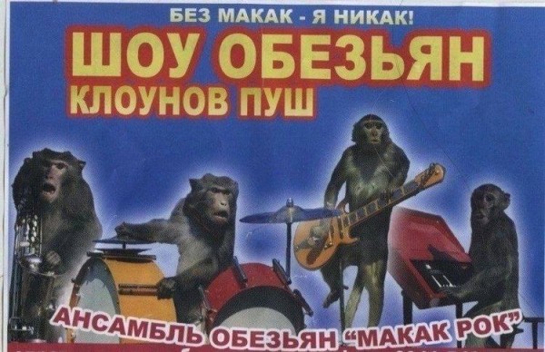 22 вывески, авторы которых проявили максимальную креативность