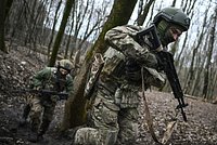 Глава Запорожской области обвинил курян в том, что они не защитили регион. После критики Хинштейна и военкоров Балицкий извинился