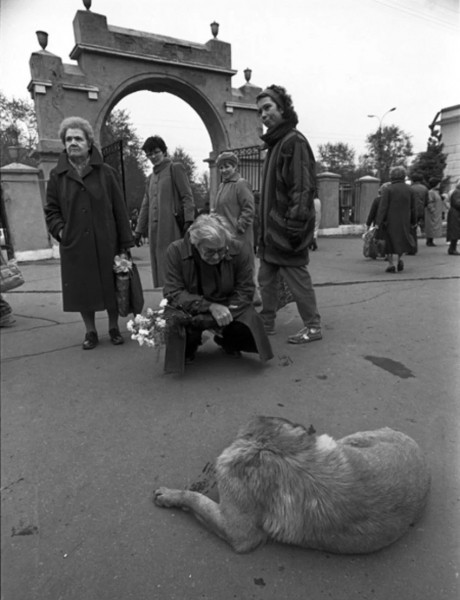Фотограф голодной эпохи: документальные кадры Юрия Феклистова о жизни без прикрас
