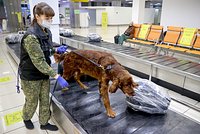 Шутившего про инвалида и Иисуса комика Останина отправили в колонию. Стендапер слушал приговор в худи с надписью &laquo;Бесы&raquo;