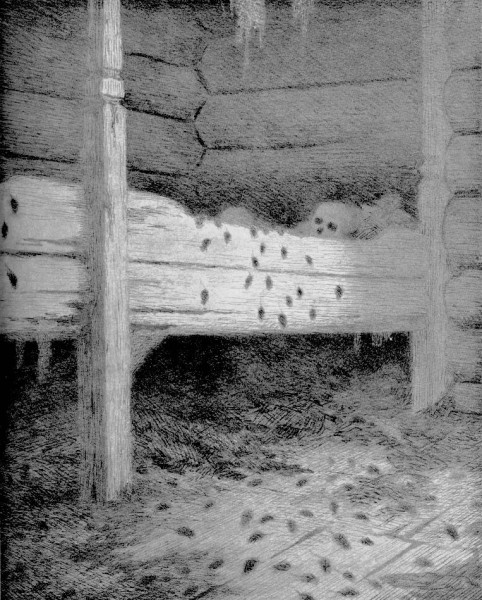 История Теодора Киттельсена, самого загадочного и мрачного художника Норвегии