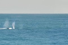 Российские военные в Черном море дали бой скоростным катерам ВСУ с экипажем. Что известно о последствиях?