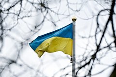 Участников бунта против ТЦК во Львове заставили извиняться. Как власти решили наказать восставших против военкомов украинцев?
