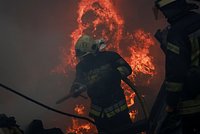 ВСУ получили приказ соблюдать режим тишины. Киев прекратит огонь на несколько дней. С чем связано это решение?
