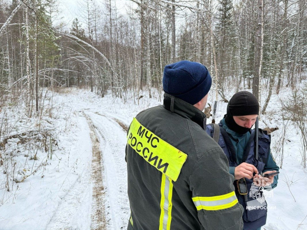 Появились новые детали поисков семьи Усольцевых. Что рассказали волонтеры и могли ли силовики задержать пропавших в тайге?